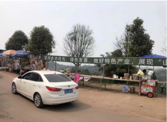 彩山文旅喜迎二十大，发展特色产业助力乡村振兴(图5)