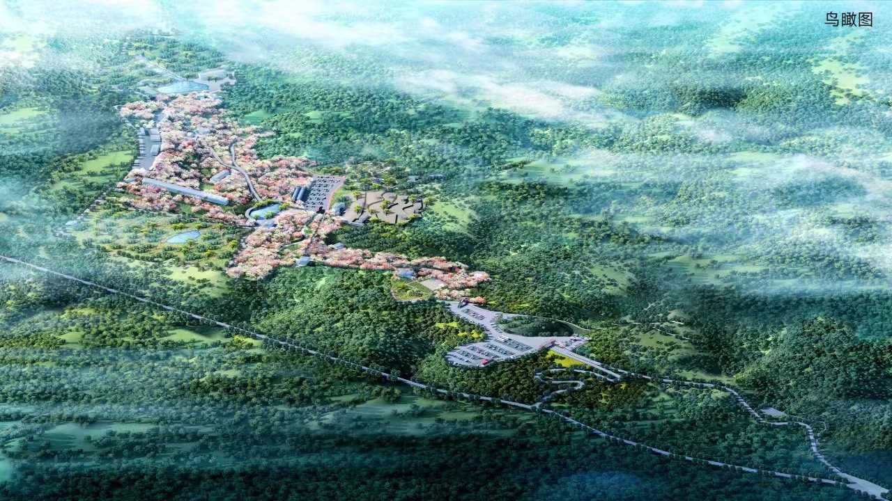 彩山文旅喜迎二十大，发展特色产业助力乡村振兴(图6)