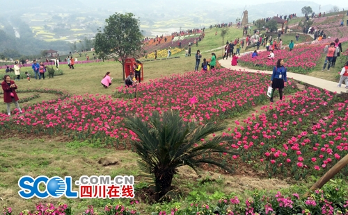 聆听春语享受春光 宜宾县乡村文化旅游季喜悦开篇(图2)