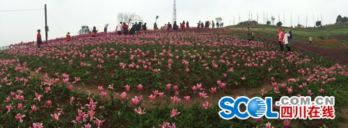 聆听春语享受春光 宜宾县乡村文化旅游季喜悦开篇(图3)