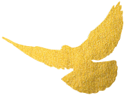 彩山景区全体工作人员热烈祝贺党的一百年华诞(图2)